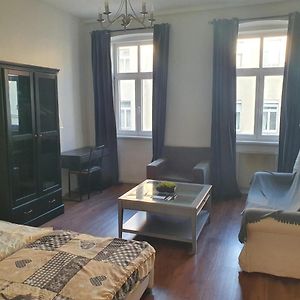 Spacious Apartment Near The Center
